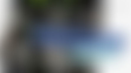 Sustainable Living in France: Eco-Friendly Practices