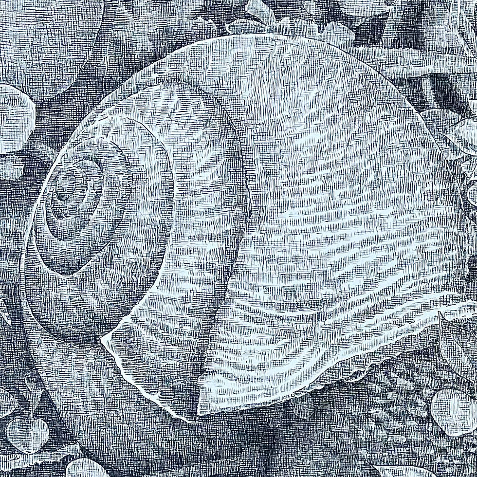 Thumbnail: Snail’s Pace