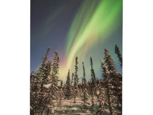 Top 5! Northern Lights | Denali National Park Wood Wall Art