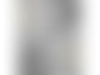 Big Deals! Daisy Lamp Shade