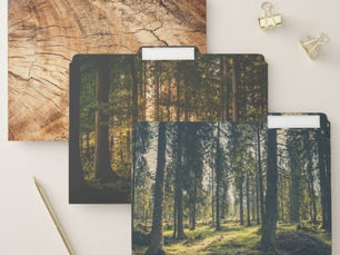 Review Forest Woods File Folder