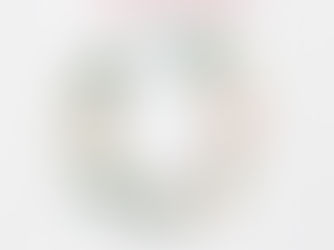 Hot Review! Floral Baby Girl Monthly Milestone Baby Blanket