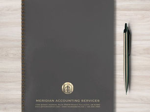 Hot Review! Customizable Gray Gold Professional Notebook