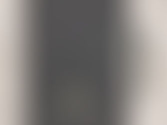 Hot Review! Customizable Gray Gold Professional Notebook