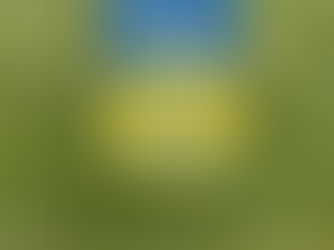 Hot Review! Ukrainian Stand With Ukraine Bicolor Garden Flag