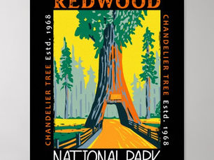 Hot Deals! Redwood National Park Chandelier Tree Distressed Poster