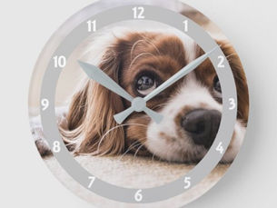 Best Deals! Add Your Pet Photo Personalized Round Clock