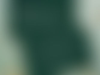 Big Deals! Emerald Green Thank You For Shopping Discount Card