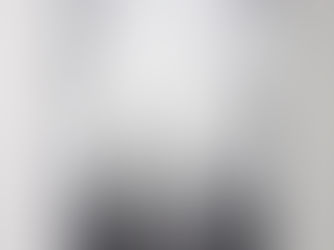 Big Deals! Winter forest in mist, New Jersey Poster