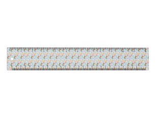 Top 5! Easter Critters Ruler