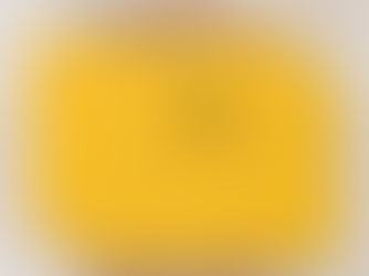 Hot Review! Custom Business Logo Professional Yellow Envelope
