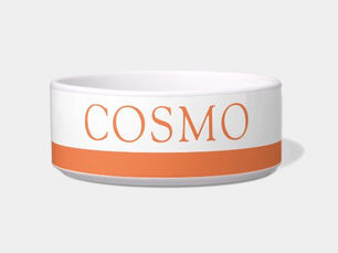 Hot Deals! Orange Stripe Dog Cat Name Personalized Bowl