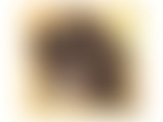 Hot Review! Schnoodle Square Metal Print