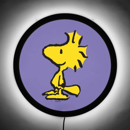 Custom alt text
