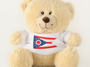 Review Patriotic Teddy Bear with flag of Ohio, USA