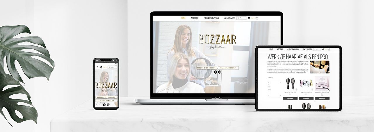 BZR_Mockup_edited.jpg