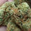Thumbnail: Sour Diesel Grade A+