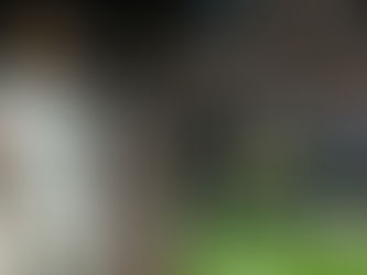 Real Madrid vence Celta de Vigo com gols de Vini Jr. e Mbappé em partida tensa pela La Liga