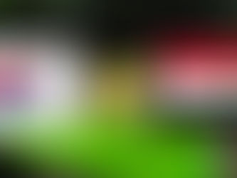 Coreia do Sul x Iraque: onde assistir, escalações e tudo sobre o confronto pelas Eliminatórias da Copa do Mundo 2026