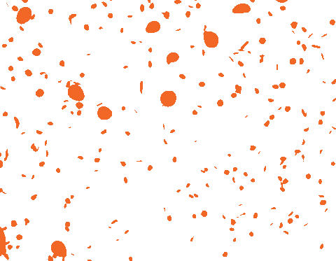 giphy.gif
