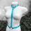 Miniatura: Harness Chai
