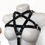 Miniatura: Harness Lyut