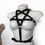 Miniatura: Harness Lyut