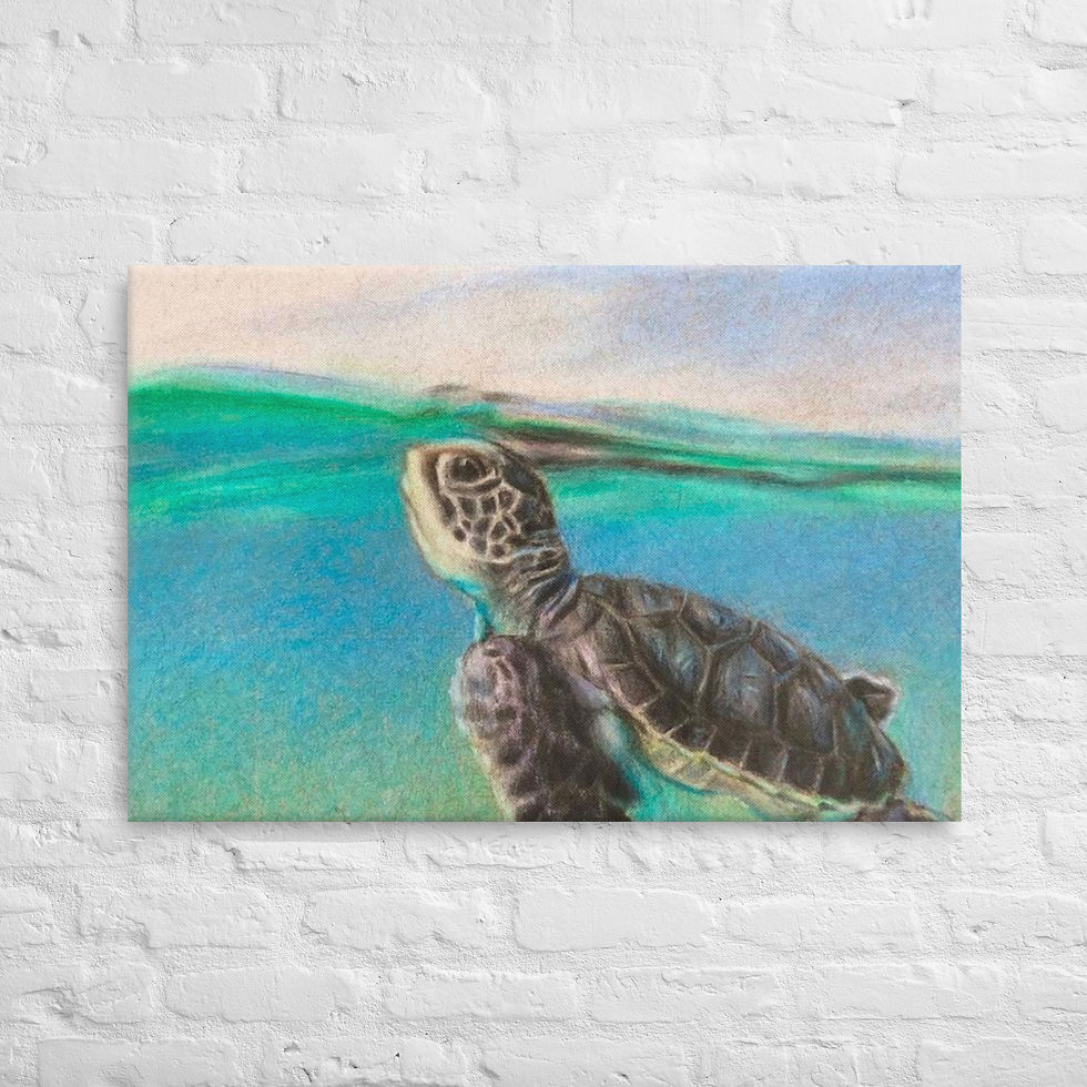 Baby Sea Turtle - Canvas