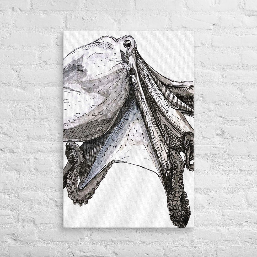 Octopus - Canvas