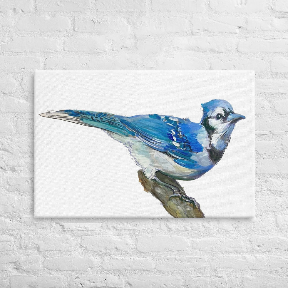 Blue Jay - Canvas