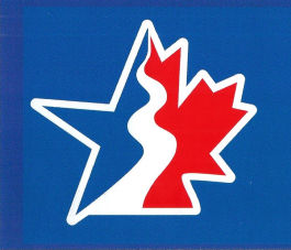 Paddling Bumper Sticker