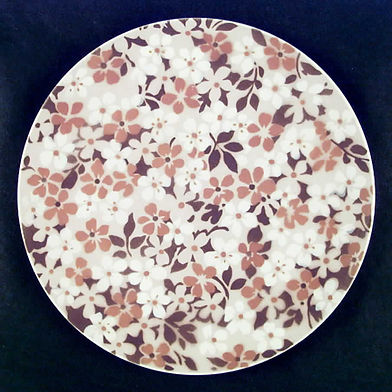Snow Chintz
