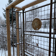 Metal trundle bed frame used as garden trellis