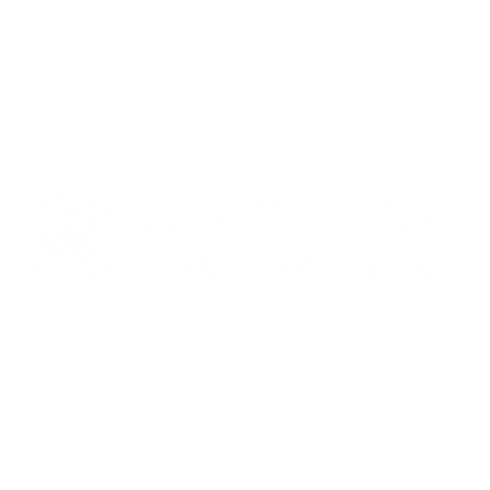 MTRLogo_white_horizontal_MTR_whitelogo_horizontal.png