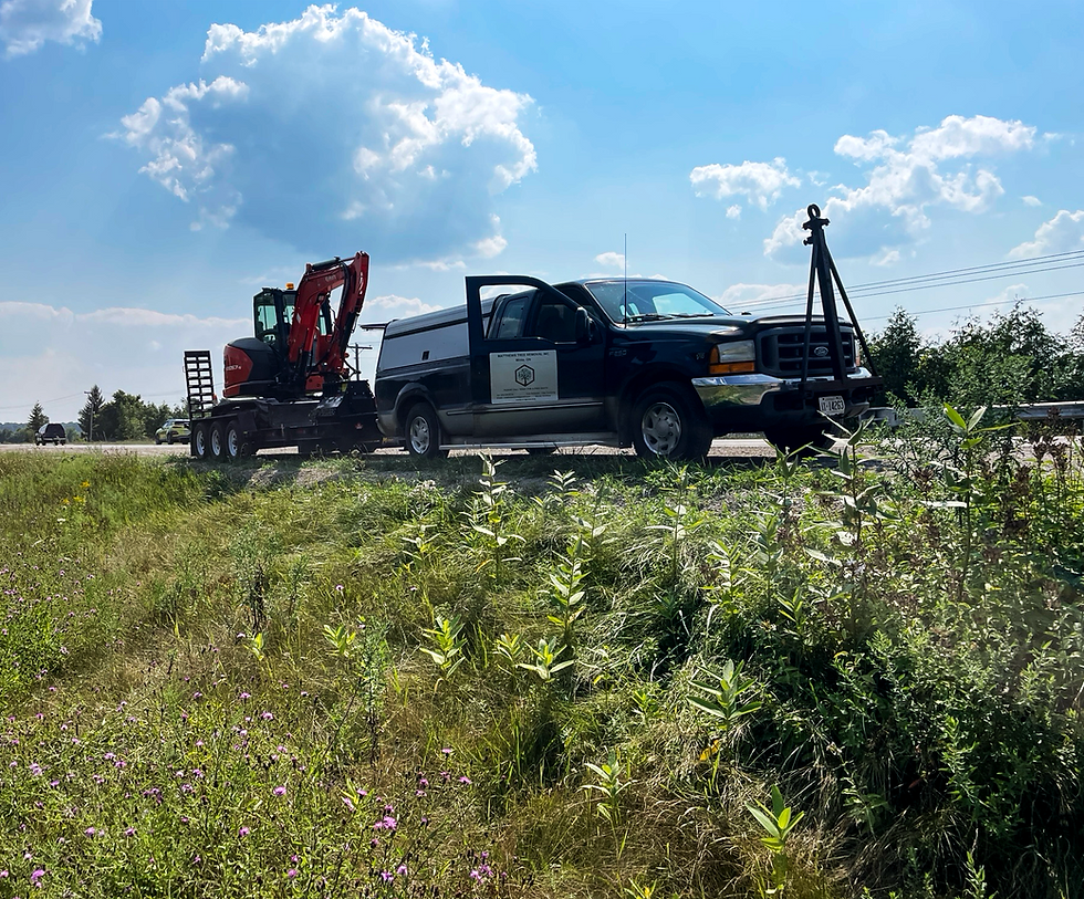 Get a free quote for crane-assisted tree removal and hazardous tree cutting by Matthews Tree Removal Inc.