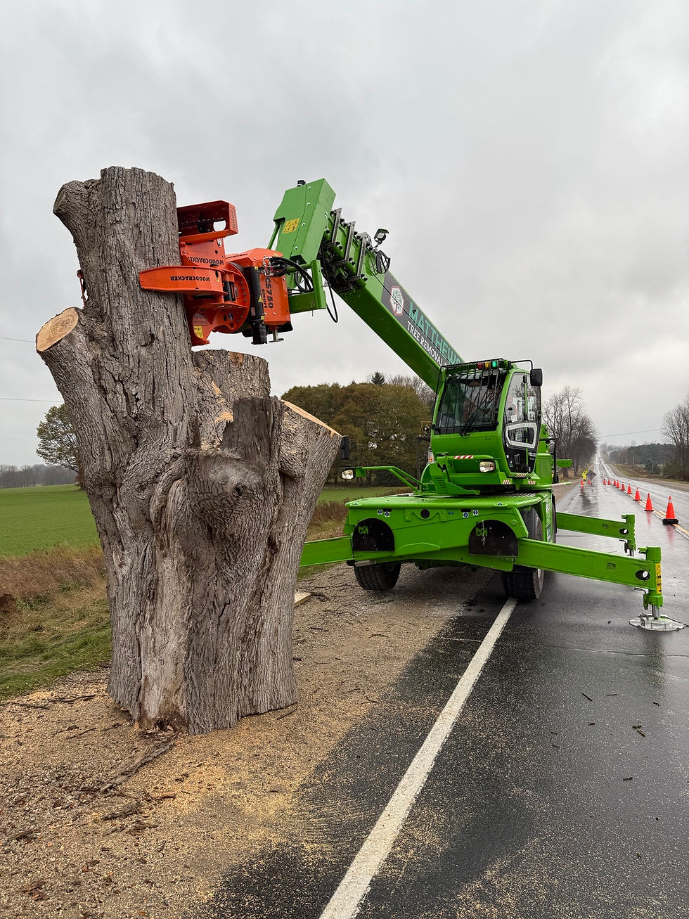 Matthews Tree Removal heavy equipment ready for a local commercial or residential tree project.