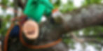 iStock-1415804002.jpg