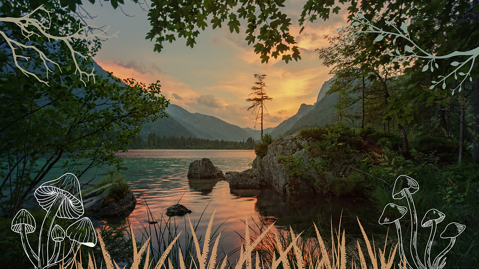 Countryside with trees, fields and lake at sunset
