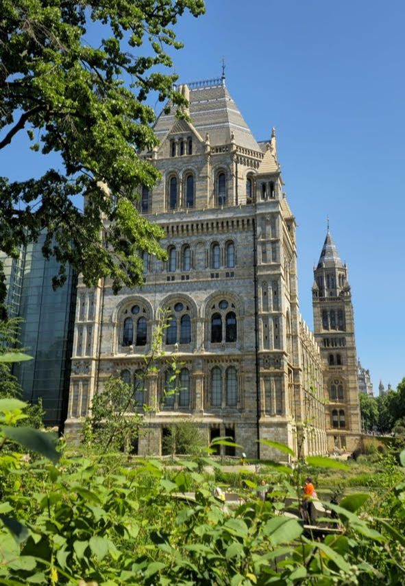 View of the Natural History Museum from the museum gardens