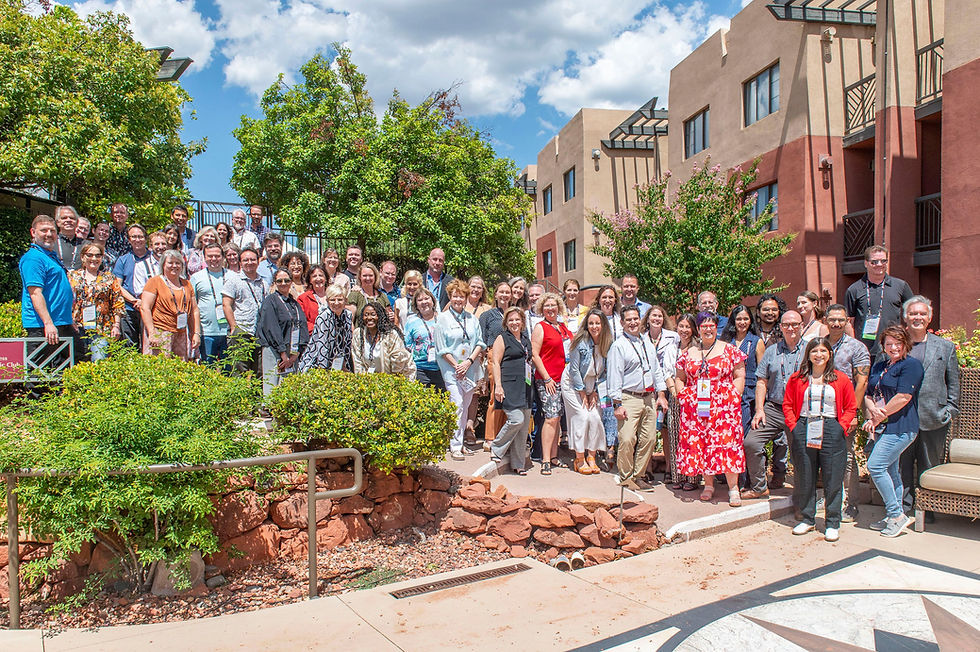 Virtual APA Professional Development Meeting