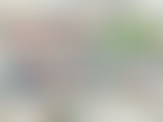 星花伝　小林実沙紀個展