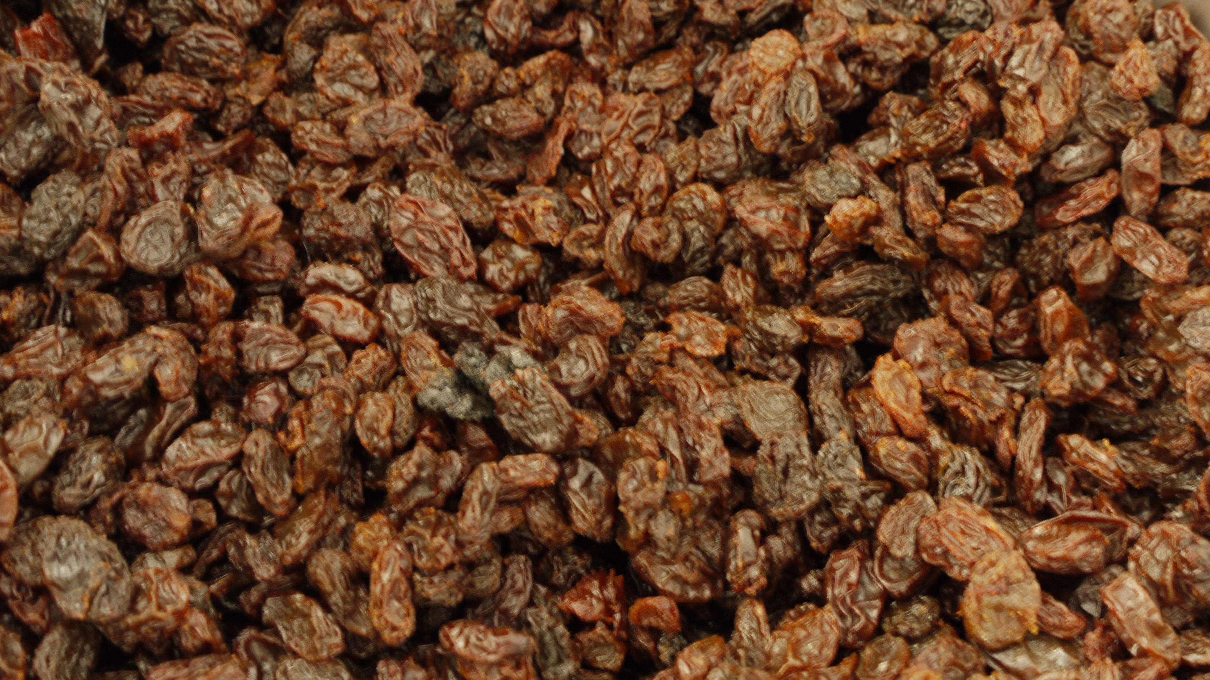 Raisins secs Sultana bio