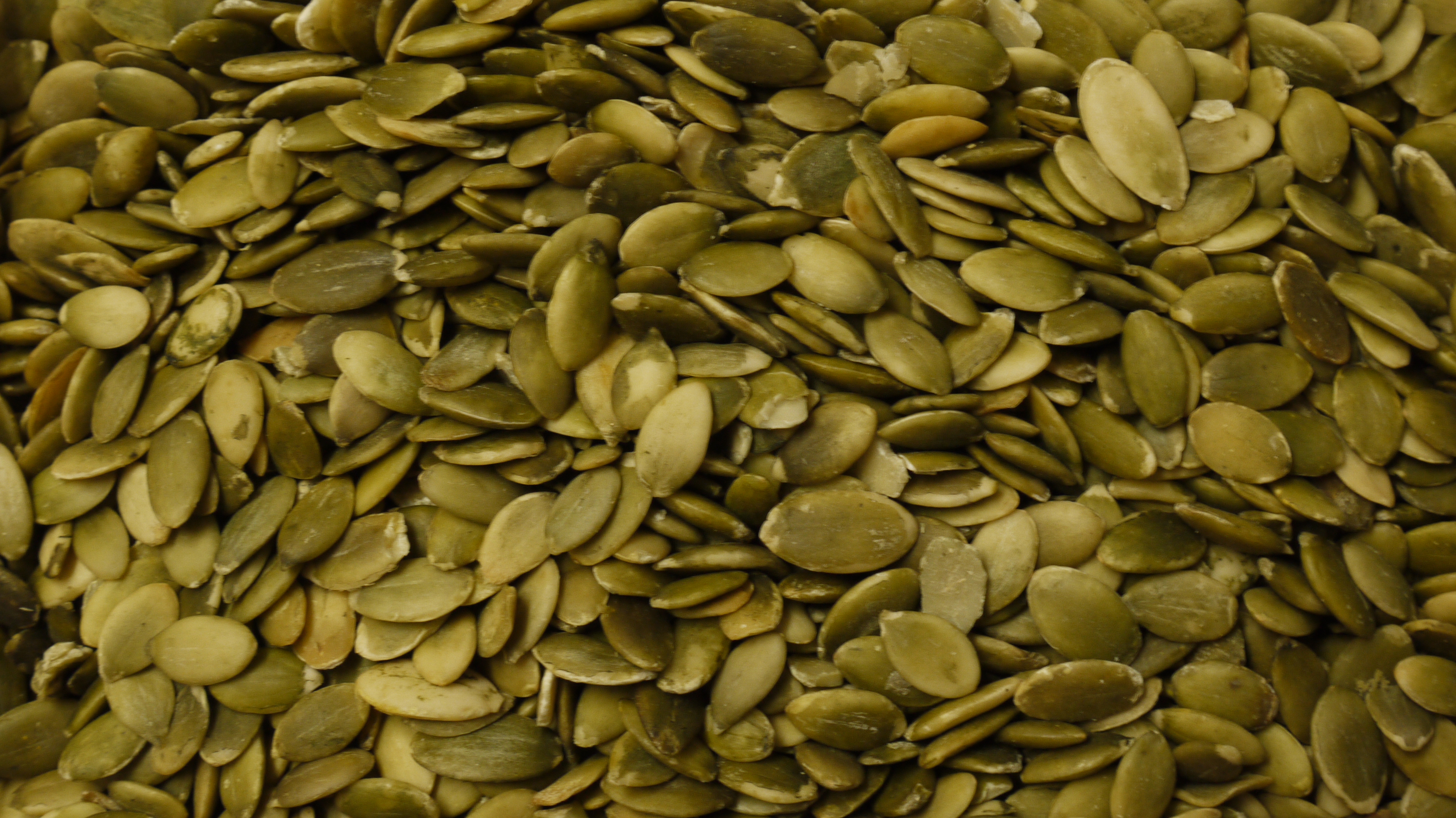 Graines de citrouille bio