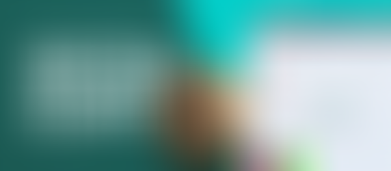 Professional Success Starts with a 4-Step Plan