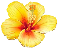 Formation massage bien-être Landes Gironde "L'OR DE VOS MAINS"