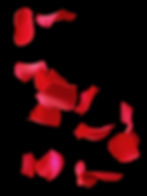 Beauty-Background.jpg