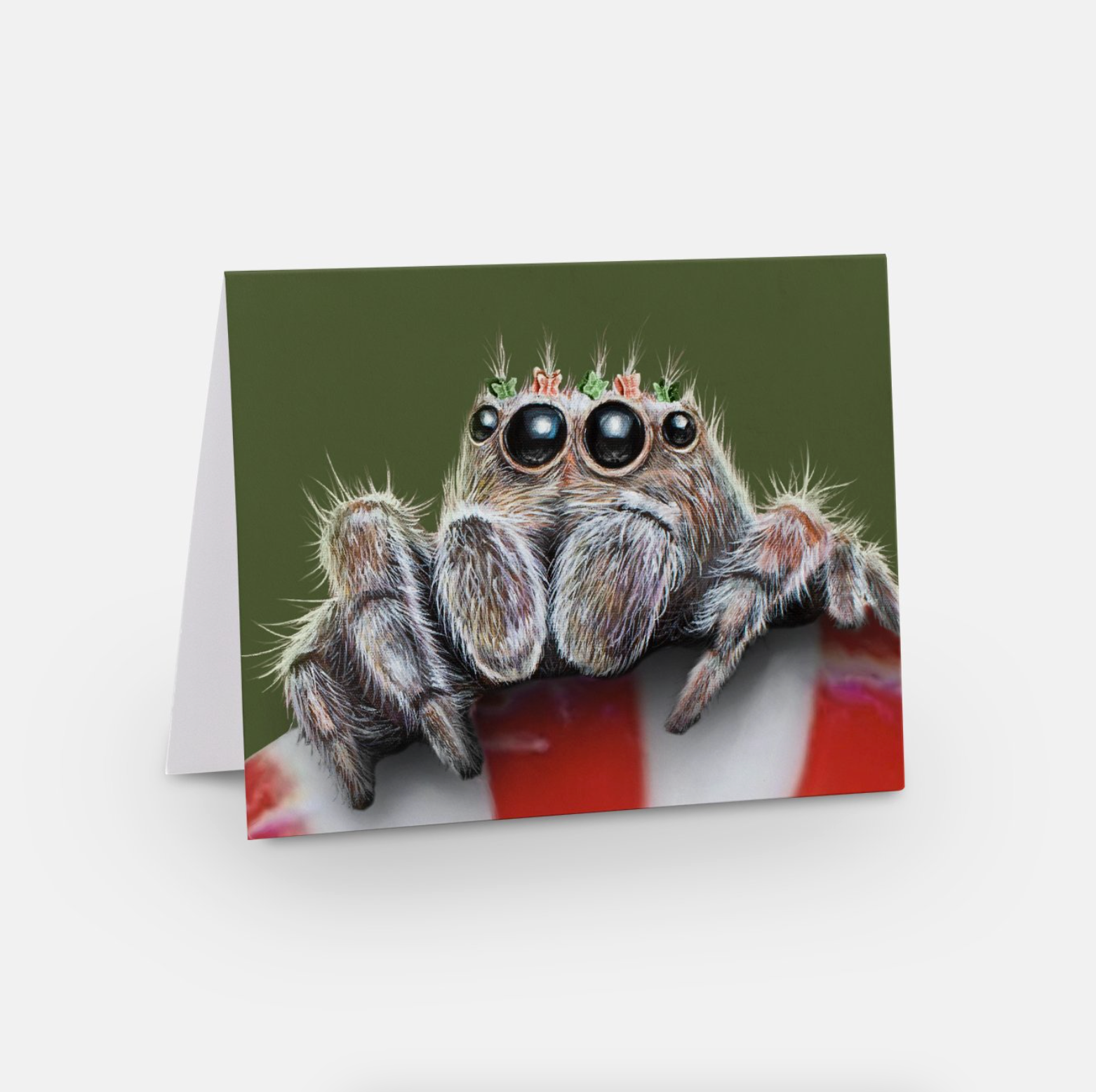 Stella Holiday/Christmas Card