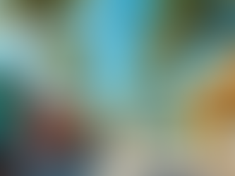 Essential Travel Tips for Visiting Key West