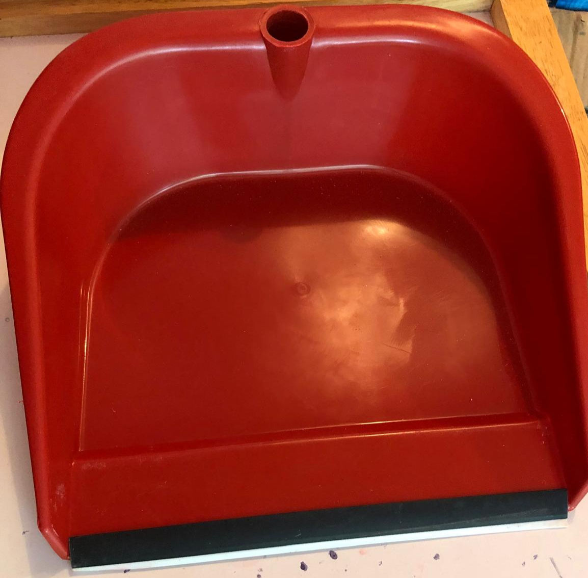 Dust Pan with long handle