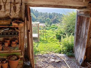 Stepping over the threshold